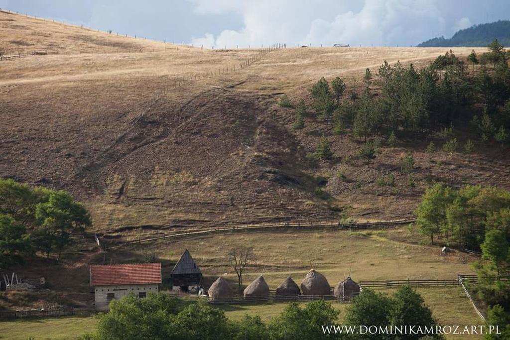 Ferienwohnung Camp Viljamovka Kremna Exterior foto